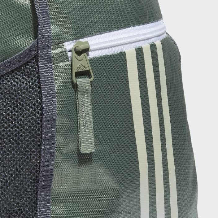 Adidas Alliance sac de argint bărbați argintiu/alb 2JBN21511