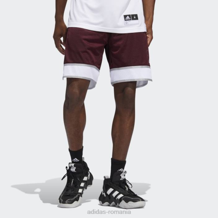 Adidas pantaloni scurți aggies swingman maro bărbați maro/alb 2JBN21116