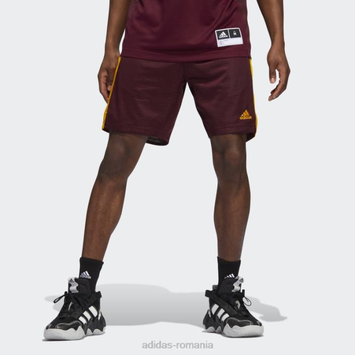 Adidas pantaloni scurți sun devils swingman maro adidas bărbați maro/aur colegiu 2JBN21114