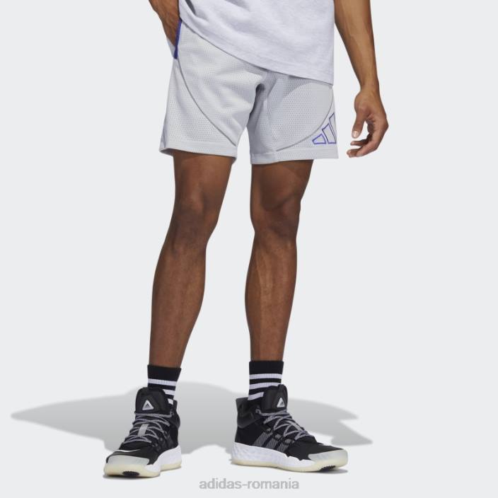 Adidas gri daniel patrick x hoops pantaloni scurți din plasă fashion bărbați gri 2JBN15114