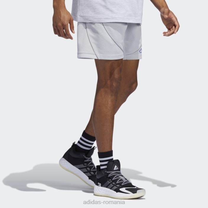 Adidas gri daniel patrick x hoops pantaloni scurți din plasă fashion bărbați gri 2JBN15114