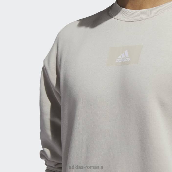 Adidas elementele esențiale feelvivid bumbac fleece hanorac cu umăr căzut aluminiu bărbați aluminiu 2JBN6715