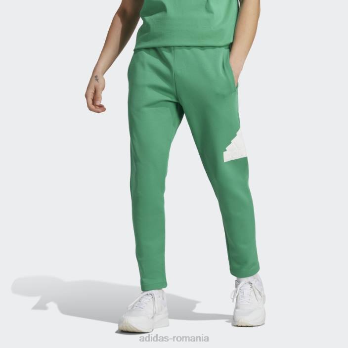 Adidas icoane viitoare insignă de pantaloni sport curte verde bărbați verde curte 2JBN6128