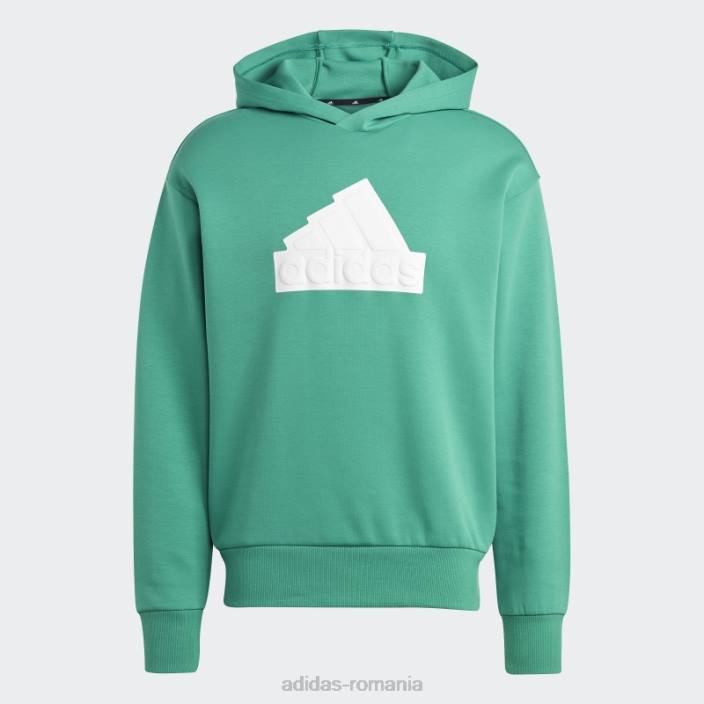 Adidas icoane viitoare insignă de sport hanorac verde curte bărbați verde curte 2JBN14474
