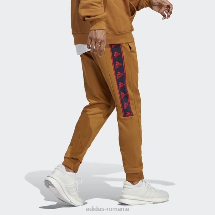 Adidas pantaloni brandlove bronz bărbați bronz 2JBN5857