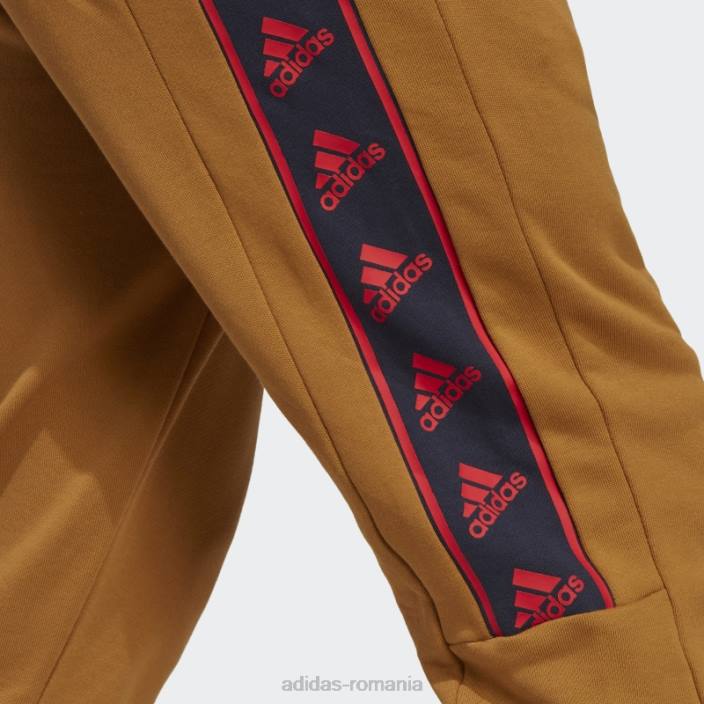 Adidas pantaloni brandlove bronz bărbați bronz 2JBN5857