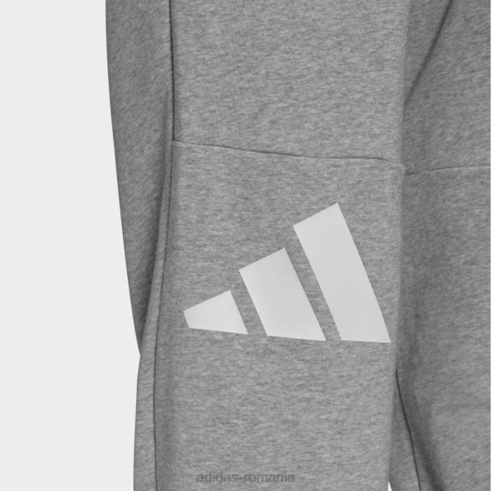 Adidas pantaloni icoane viitor gri mediu bărbați gri mediu 2JBN6736