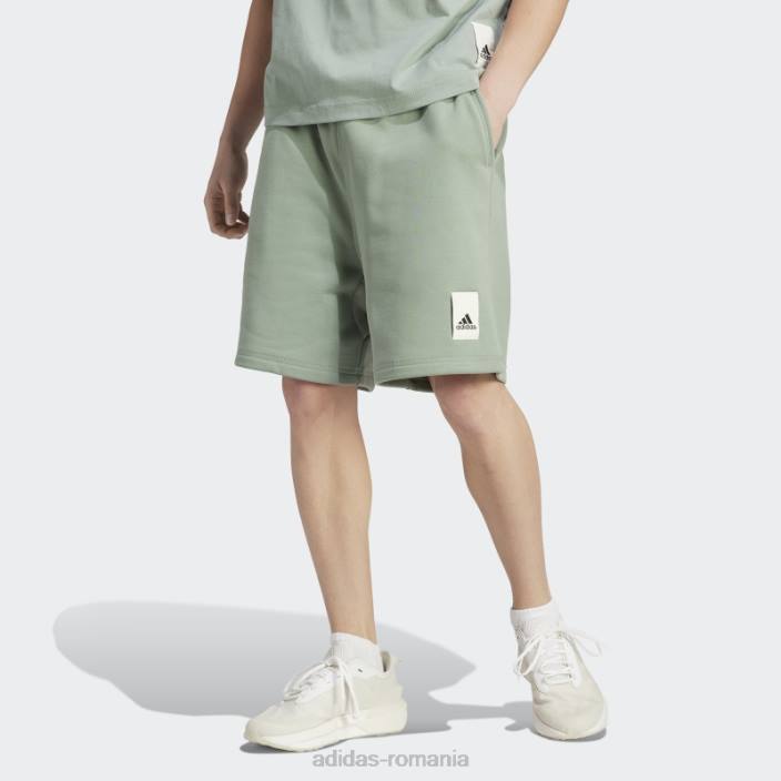 Adidas pantaloni scurți fleece lounge verde argintiu bărbați verde argintiu 2JBN5834