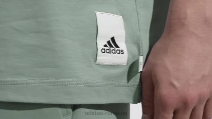Adidas tricou lounge verde argintiu bărbați verde argintiu 2JBN14447