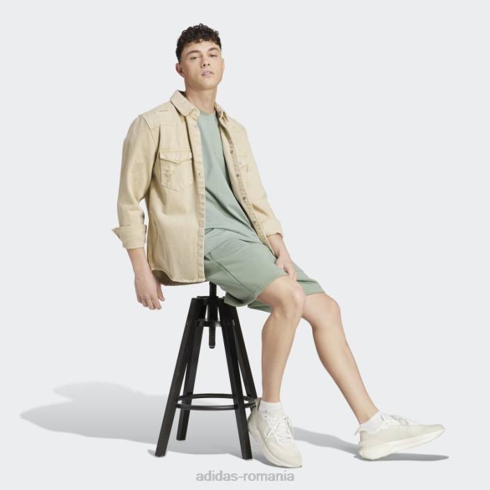 Adidas tricou lounge verde argintiu bărbați verde argintiu 2JBN14447