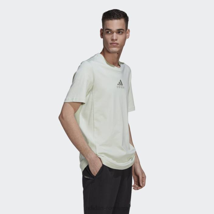 Adidas tricou verde studio lounge adidas bărbați verde 2JBN5223