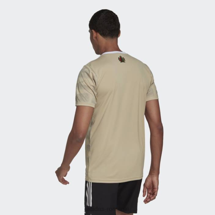 Adidas ajax amsterdam x cotidianul 22/23 tricou al treilea savanna bărbați savană 2JBN811