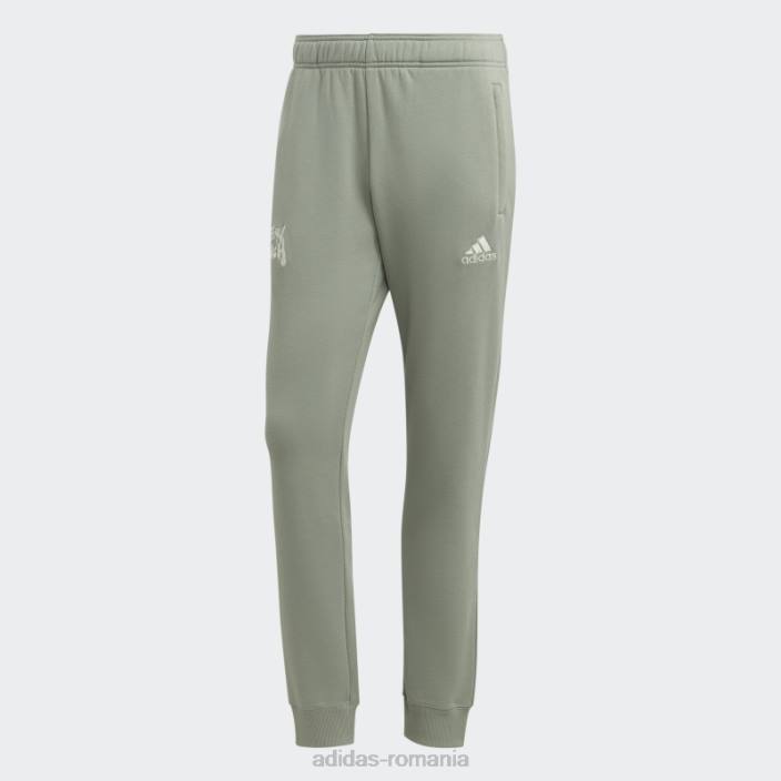 Adidas argintiu verde fc bayern chinese story pantaloni bărbați verde argintiu 2JBN14326