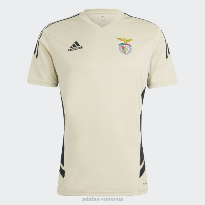 Adidas benfica condivo tricou de antrenament nisip bej adidas bărbați bej nisipos 2JBN14364