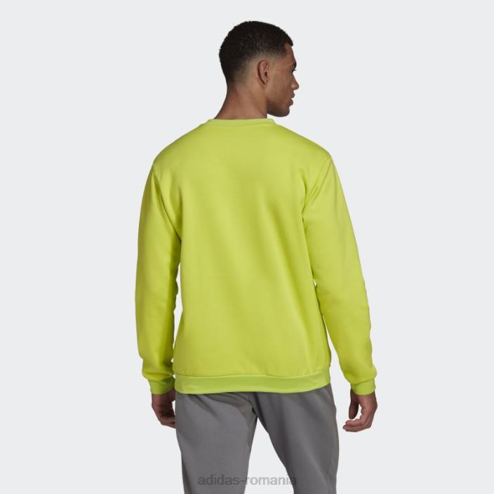 Adidas entrada 22 hanorac sol galben fashion bărbați galben sol 2JBN14022