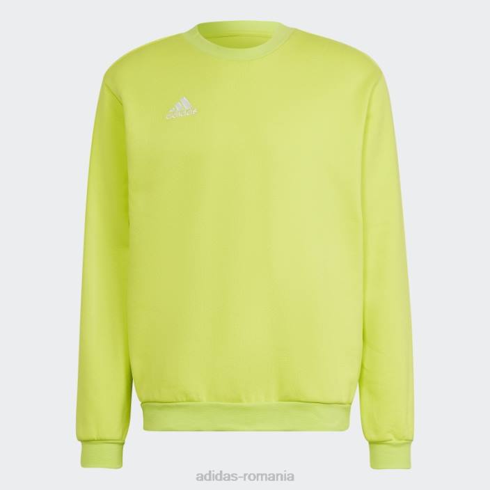 Adidas entrada 22 hanorac sol galben fashion bărbați galben sol 2JBN14022