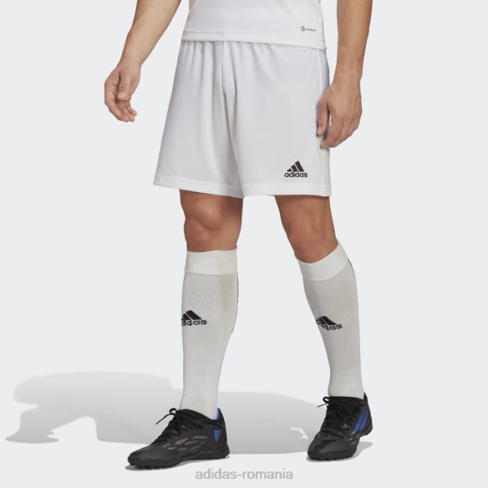 Adidas entrada 22 pantaloni scurți alb bărbați alb 2JBN6842