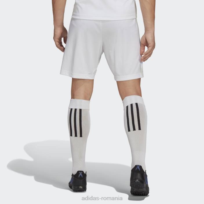Adidas entrada 22 pantaloni scurți alb bărbați alb 2JBN6842
