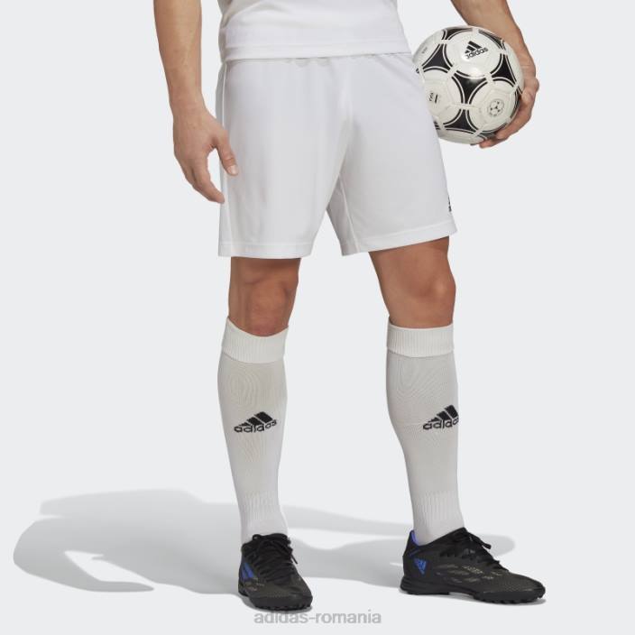 Adidas entrada 22 pantaloni scurți alb bărbați alb 2JBN6842