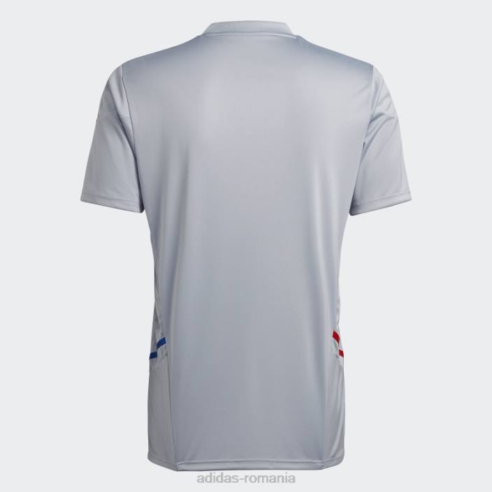 Adidas fierbinte olympique lyonnais condivo 22 tricou de antrenament argintiu adidas bărbați argint 2JBN14556
