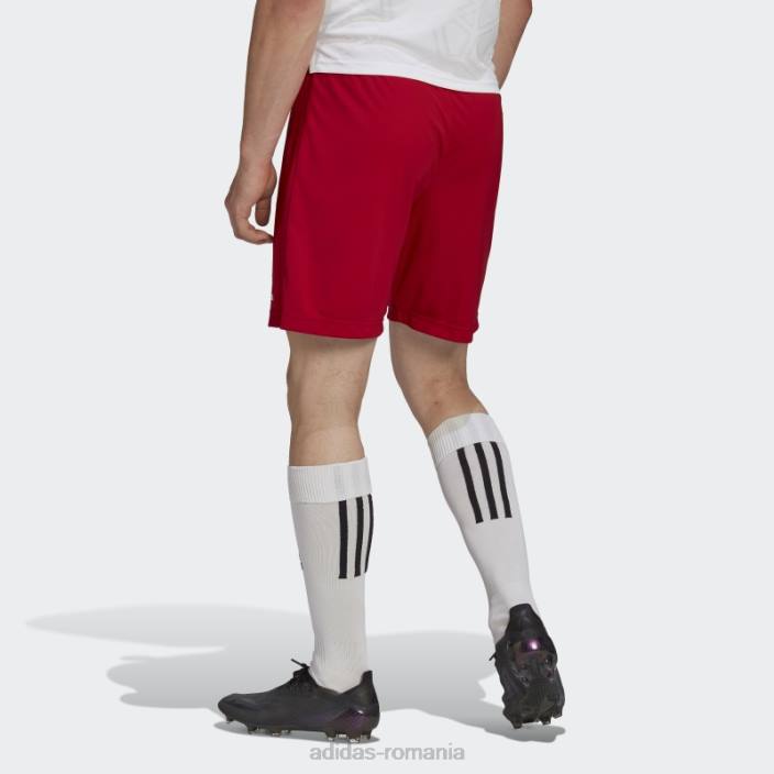 Adidas intrare 22 pantaloni scurți roșii adidas bărbați roșu 2JBN13770