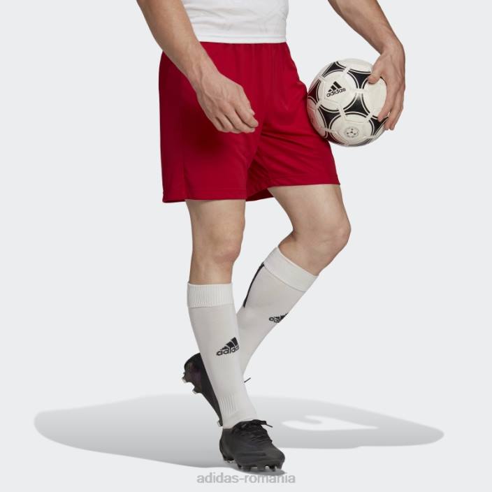 Adidas intrare 22 pantaloni scurți roșii adidas bărbați roșu 2JBN13770
