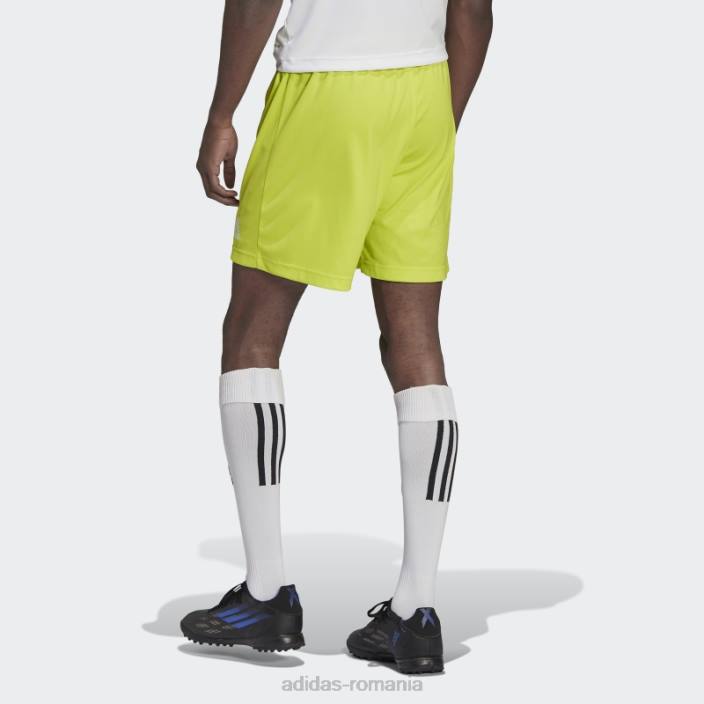 Adidas intrare 22 pantaloni scurți sol galben adidas bărbați galben sol 2JBN14166