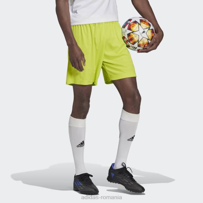 Adidas intrare 22 pantaloni scurți sol galben adidas bărbați galben sol 2JBN14166