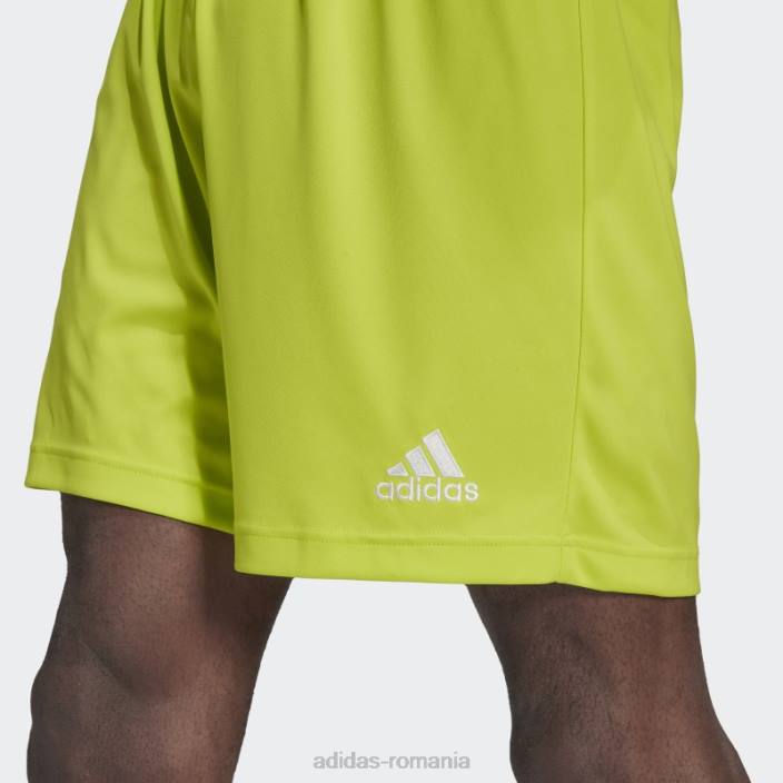 Adidas intrare 22 pantaloni scurți sol galben adidas bărbați galben sol 2JBN14166