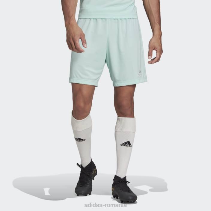 Adidas mint entrada 22 pantaloni scurți bărbați mentă 2JBN13828