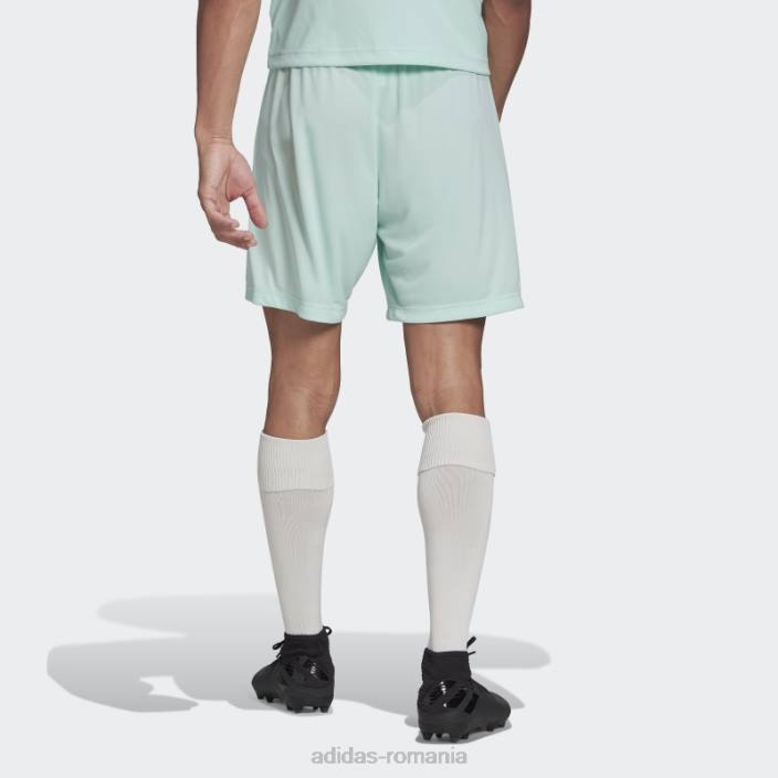 Adidas mint entrada 22 pantaloni scurți bărbați mentă 2JBN13828