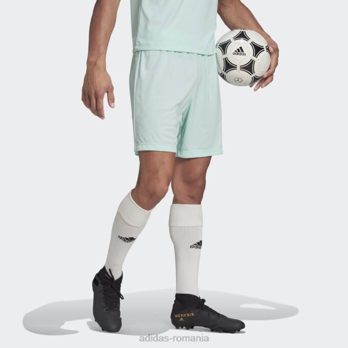 Adidas mint entrada 22 pantaloni scurți bărbați mentă 2JBN13828