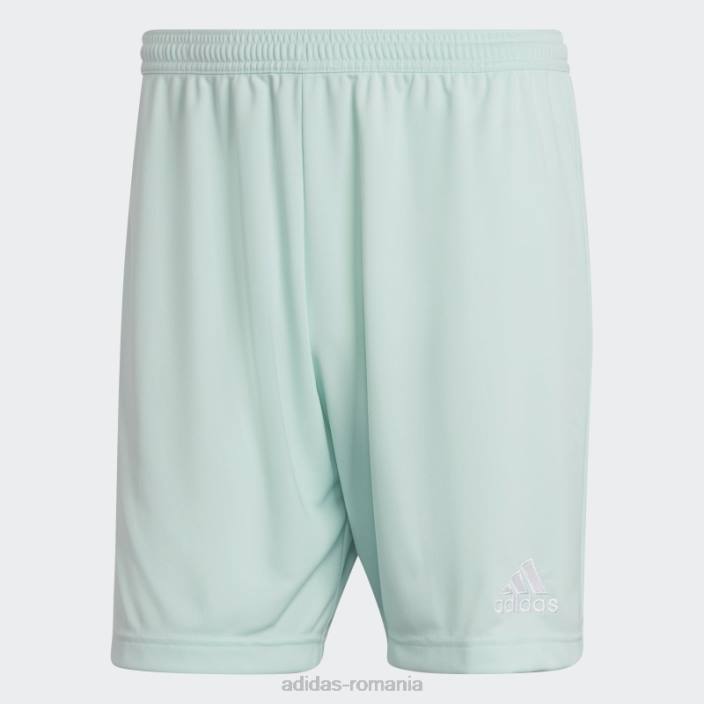 Adidas mint entrada 22 pantaloni scurți bărbați mentă 2JBN13828