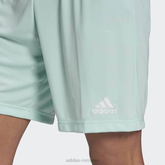 Adidas mint entrada 22 pantaloni scurți bărbați mentă 2JBN13828