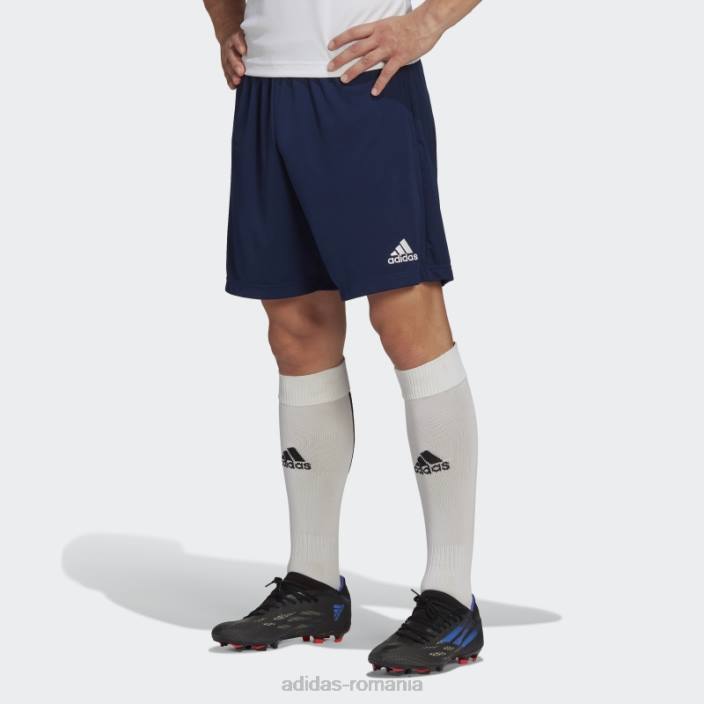 Adidas pantaloni scurți de antrenament entrada 22 bleumarin bărbați albastru marin 2JBN13442