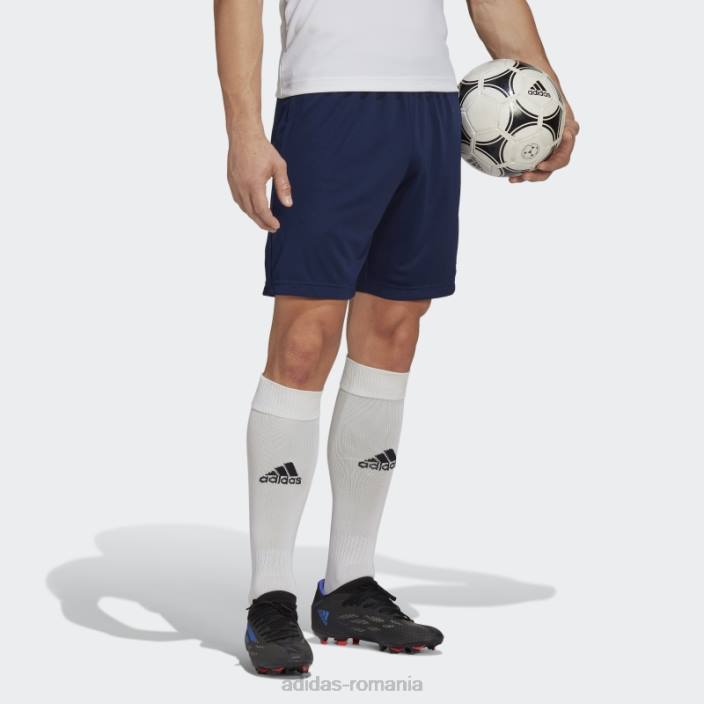 Adidas pantaloni scurți de antrenament entrada 22 bleumarin bărbați albastru marin 2JBN13442