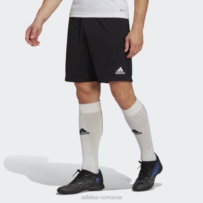 Adidas pantaloni scurți de antrenament negru entrada 22 adidas bărbați negru 2JBN13239