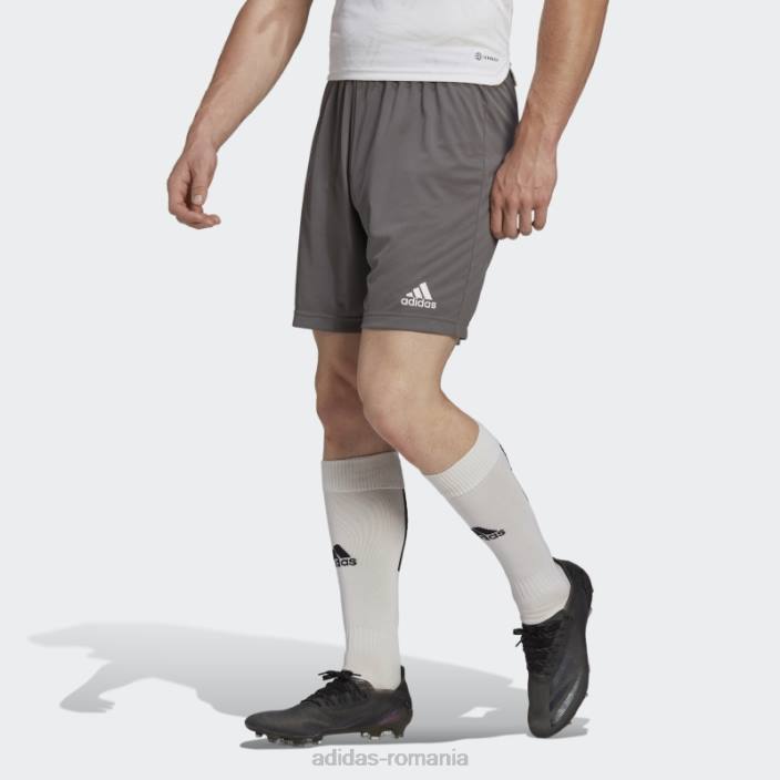 Adidas pantaloni scurți gri entrada 22 adidas bărbați gri 2JBN13521