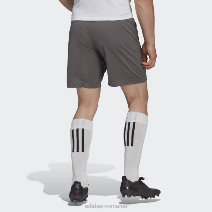 Adidas pantaloni scurți gri entrada 22 adidas bărbați gri 2JBN13521