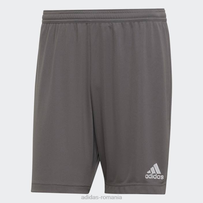 Adidas pantaloni scurți gri entrada 22 adidas bărbați gri 2JBN13521
