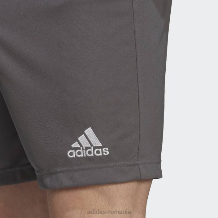 Adidas pantaloni scurți gri entrada 22 adidas bărbați gri 2JBN13521