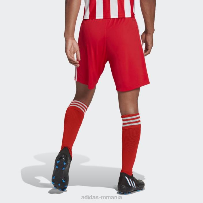 Adidas roșu 1. fc union berlin 22/23 pantaloni scurți acasă adidas bărbați roșu 2JBN14307