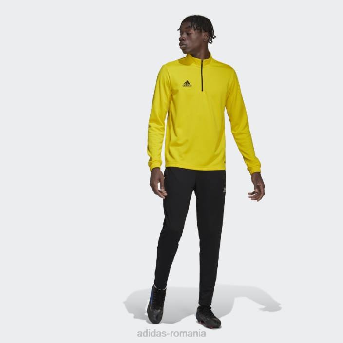 Adidas top de antrenament entrada 22 galben bărbați galben/negru 2JBN15223