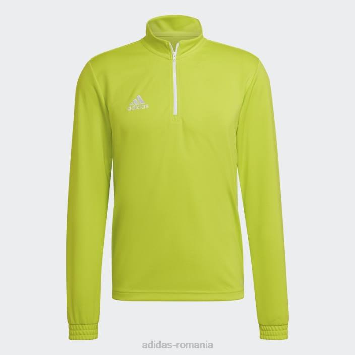 Adidas top de antrenament sol galben entrada 22 bărbați galben sol 2JBN13612