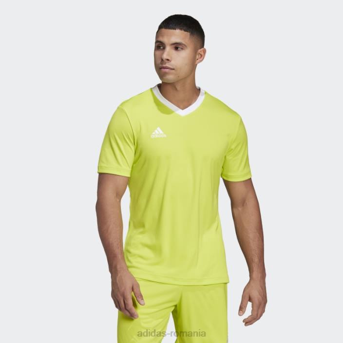 Adidas tricou adidas entrada 22 galben sol bărbați galben sol 2JBN13509