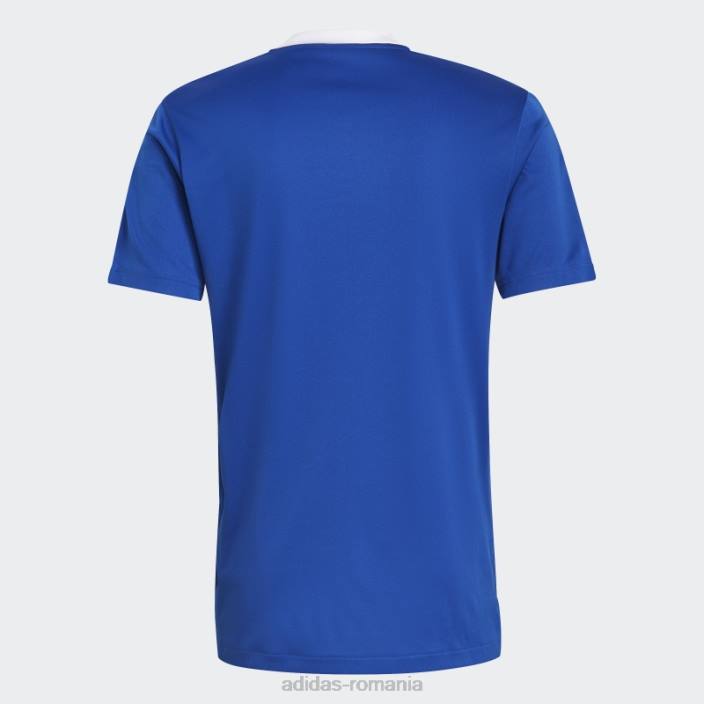 Adidas tricou de antrenament tiro 21 albastru regal bărbați albastru regal 2JBN5494