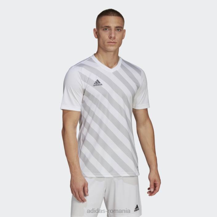 Adidas tricou grafic alb entrada 22 bărbați alb/gri deschis 2JBN14273