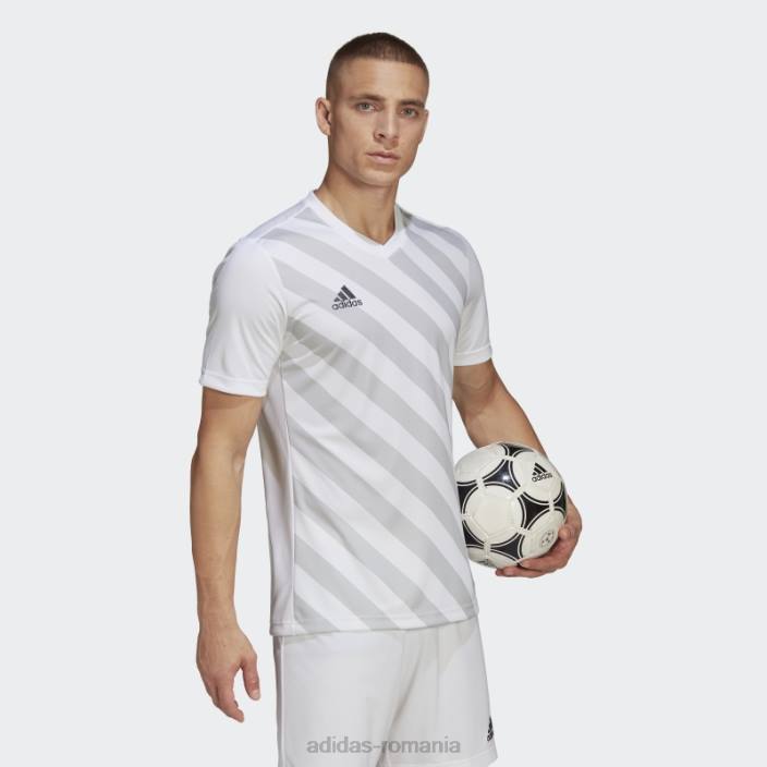 Adidas tricou grafic alb entrada 22 bărbați alb/gri deschis 2JBN14273