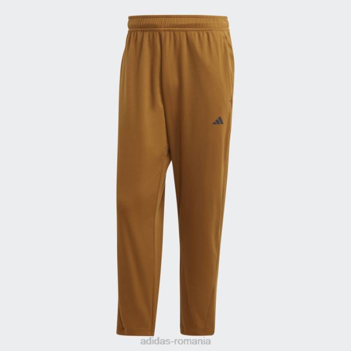 Adidas pantaloni de antrenament de bază yoga bronz bărbați bronz/carbon 2JBN5294