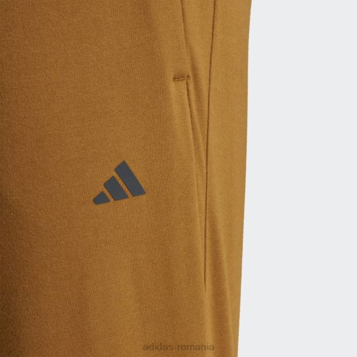 Adidas pantaloni de antrenament de bază yoga bronz bărbați bronz/carbon 2JBN5294